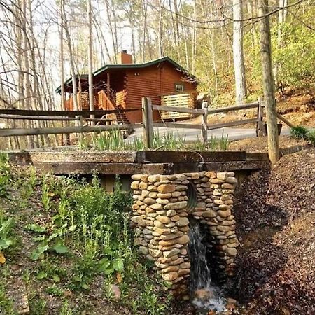 The Fishing Hole Cabin - Sage Vacations 蓋特林堡 外观 照片