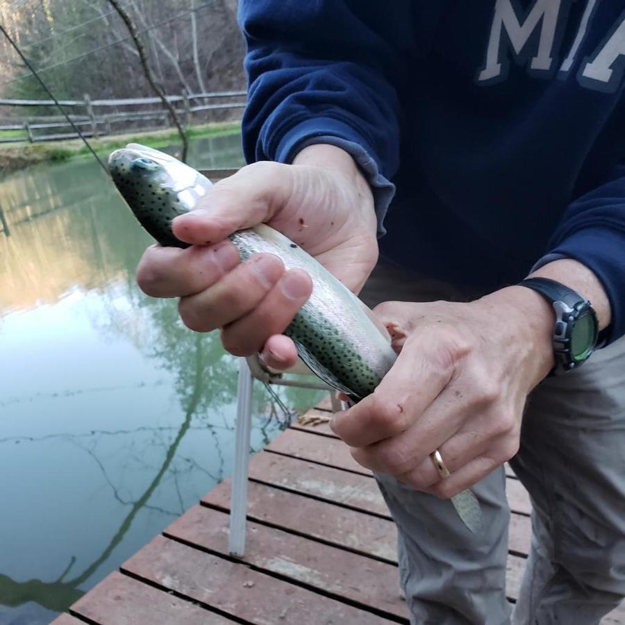 The Fishing Hole Cabin - Sage Vacations 蓋特林堡 外观 照片