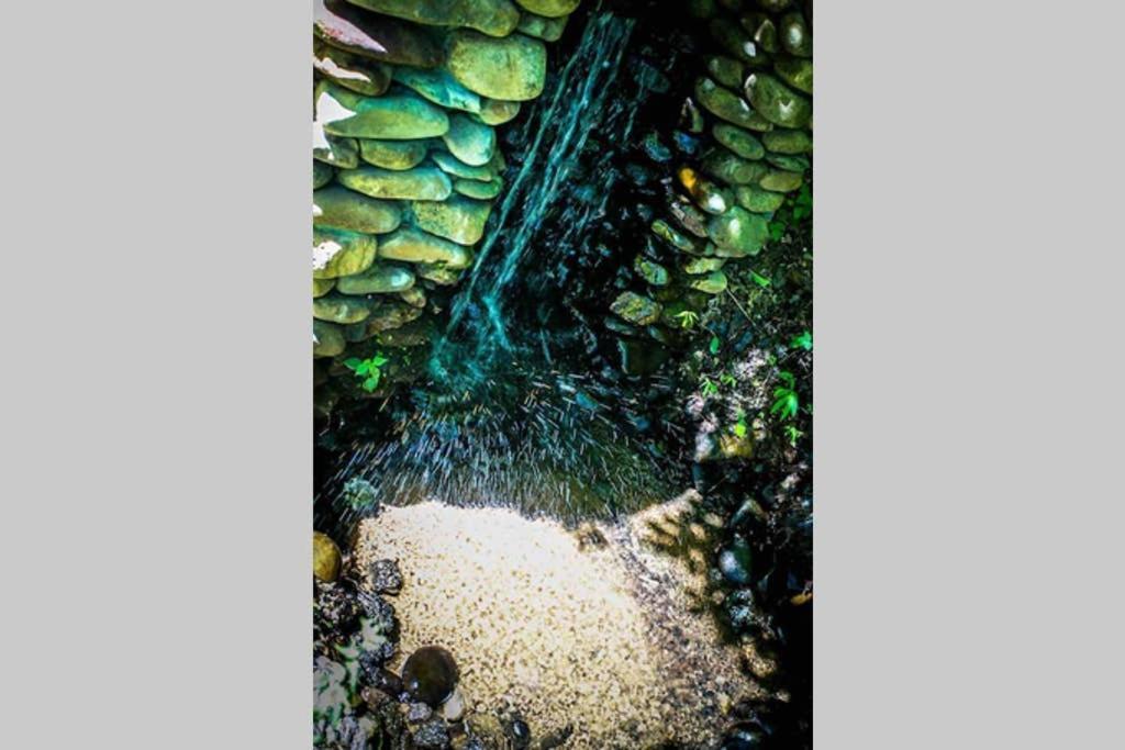 The Fishing Hole Cabin - Sage Vacations 蓋特林堡 外观 照片